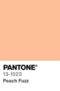 Pantone 13-1023 Peach Fuzz