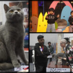 India's Largest Pet Expo