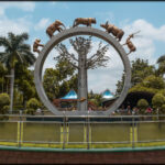 Nehru Zoological Park Telangana