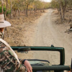 Prime Minister Narendra Modi went on a lion safari at the Gir Wildlife Sanctuary in Gujarat's Junagadh district on March 3rd, 2025